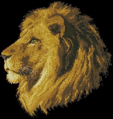Золотистая голова льва
