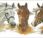 Drie paarden (Три лошади)