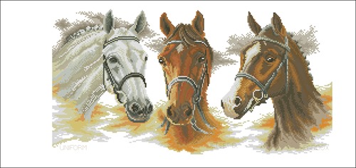 Drie paarden