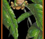 Tree Frog Among Leaves