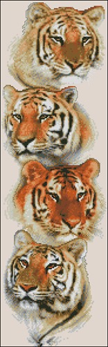 Tiger Pack