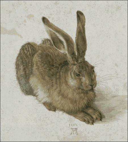 A Young Hare - Albrecht Durer