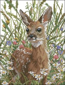 Spring Fawn