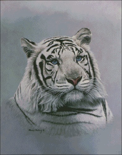 White Tiger - Blue Sapphire