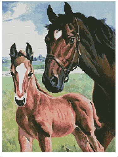 Mare and Foal