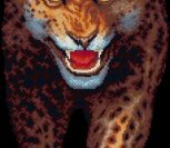 Leopard, Night Savannah