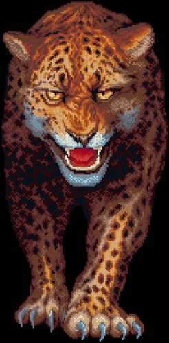 Leopard, Night Savannah
