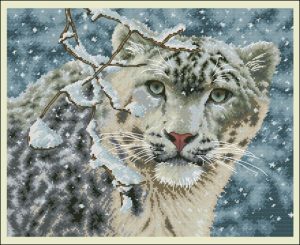 Snow Leopard