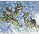Wintertime Wolves