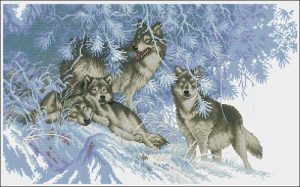 Wintertime Wolves