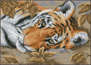 Beguiling Tiger