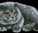 Серый кот 2 (Риолис)