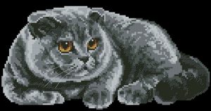 Серый кот 2 (Риолис)