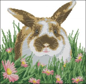 Кролик на лужайке