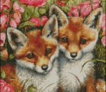 Little Foxes