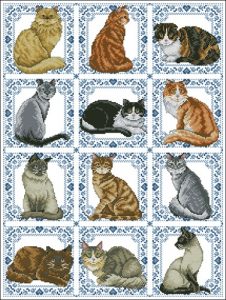Cats by the Dozen