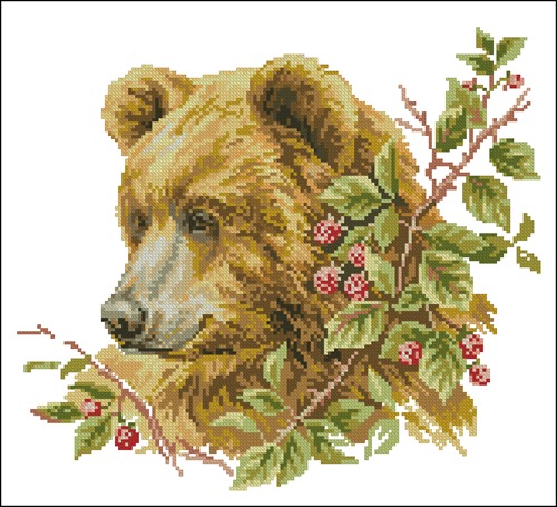 Brown Bear