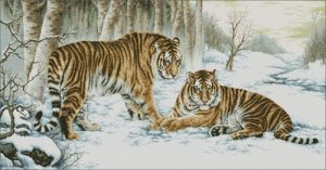 Тигры бенгальские