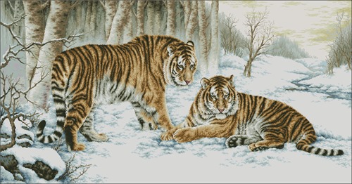 Тигры бенгальские