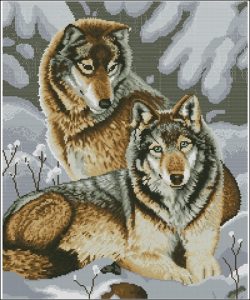 Волки на снегу