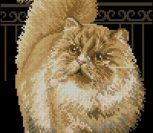 Персидский кот