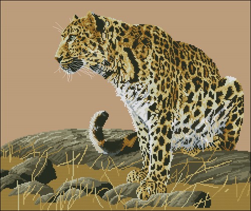 Vigilance Le Leopard