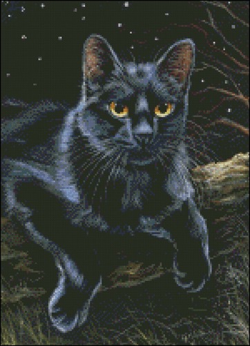 Звездная ночь и черная кошка