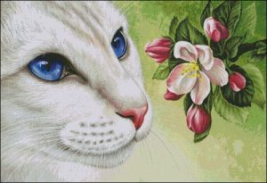 Кошка и цветение
