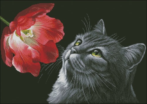 Кошка и тюльпан