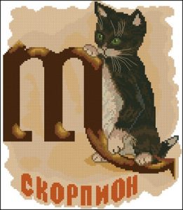 Кошачий гороскоп - Скорпион