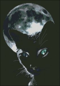 Черный кот и Полнолуние