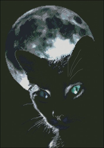 Черный кот и Полнолуние