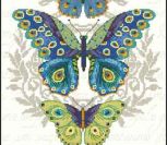 Peacock Butterflies (Dimensions)