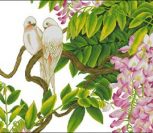 Розовая глициния и птицы