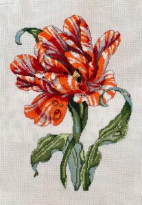 2d65ed93-fb6b-47f8-b6c4-ab798d4d9f34.jpg
